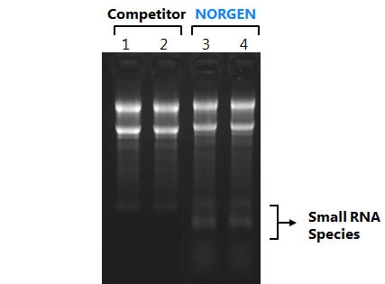 RNA/DNA Purification Kits (Cat. 48700, 50300)