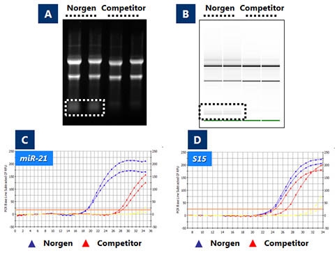 RNA/DNA/Protein Purification Plus Kits (Cat. 47700, 51600, 51700