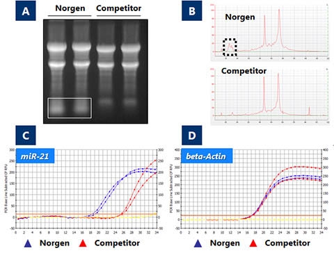 RNA/DNA/Protein Purification Plus Kits (Cat. 47700, 51600, 51700