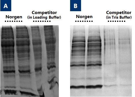 RNA/DNA/Protein Purification Plus Kits (Cat. 47700, 51600, 51700