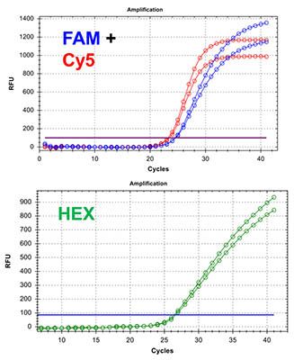 STI Panel 2.0 RT-PCR Go-Plate® Test Kit