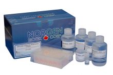 Norgen Biotek Saliva DNA Isolation 96-Well Kit