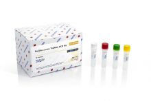 Bacillus cereus Detection Kit (24 reactions)