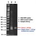 Figure 2. Small RNA Library Prep Kit for Illumina