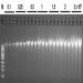Figure 2. Isolation of High Quality Genomic DNA from 0.1 up to 3 million mammalian cells