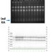 Figure 5. Leukocyte RNA Purification 96-Well Kit