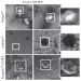 Figure 3. TEM images of small EVs obtained from the same ND-frozen PFP sample