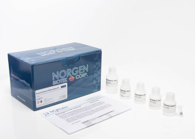 Bacterial Genomic DNA Isolation Kit and Components