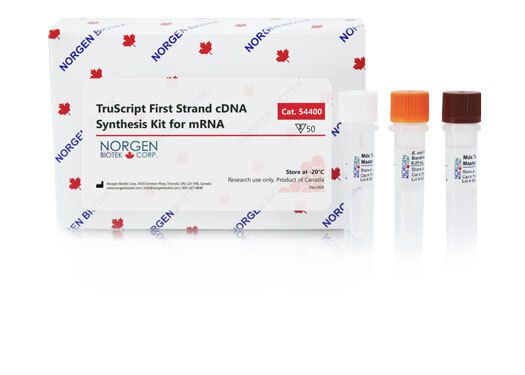 TruScript First Strand cDNA Synthesis Kit for mRNA