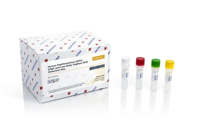 HPV (High and Low Risk) TaqMan PCR Kit (100 reactions)