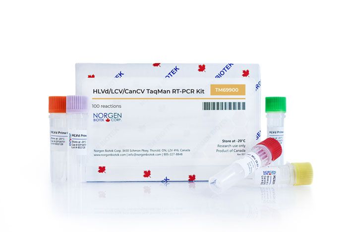 HLVd/LCV/CanCV TaqMan RT-PCR Kit 