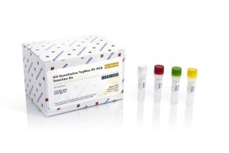 HIV Quantitative TaqMan RT-PCR Detection Kit