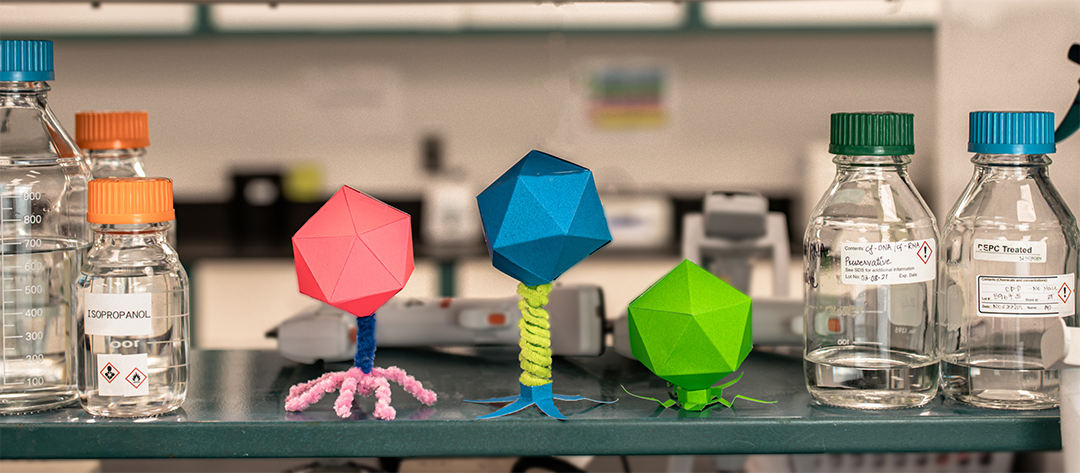 origami bacteriophages on a laboratory shelf