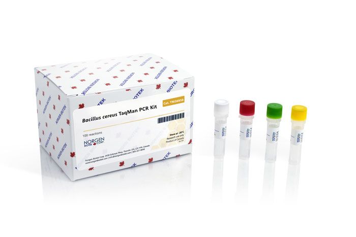 Bacillus Cereus TaqMan PCR Detection Kits (Cat. TM36950, TM36910 ...