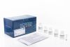 Fungi/Yeast Genomic DNA Isolation Kit and Components