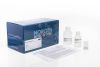 Phage DNA Isolation Kit and Components