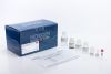 Cell Culture Media Exosome Purification and RNA Isolation Mini Kit and Components