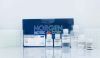 Blood DNA Isolation 96-Well Kit (Magnetic Bead System)