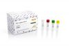 HSV-2 TaqMan PCR Kit Dx 