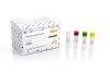 Norgen Biotek Ad5 Type C Detection Kit (100 reactions)